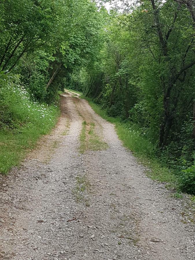 Urinj Daire Kostrena Dış mekan fotoğraf